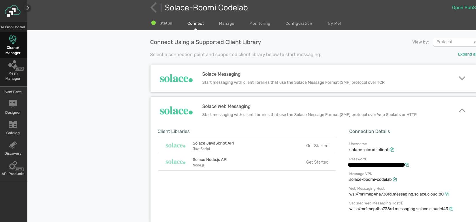 SolaceCloudConnectionDetails