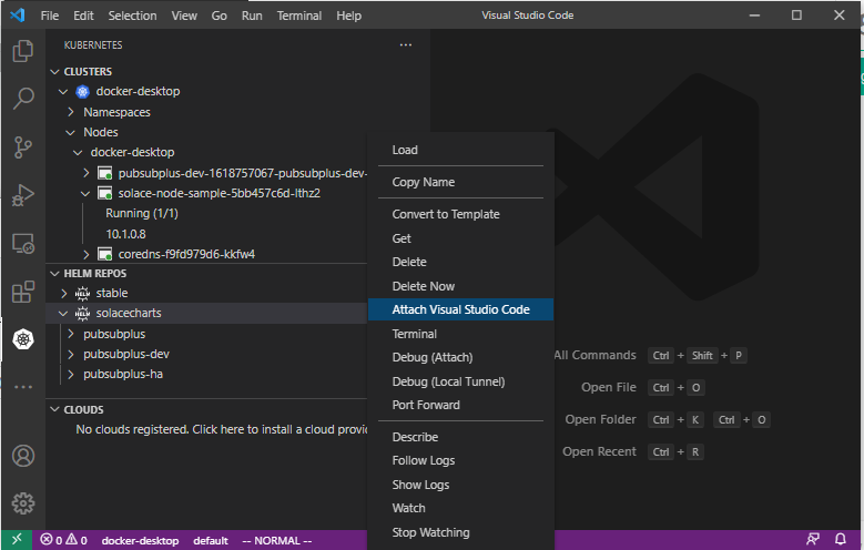 attach VSC