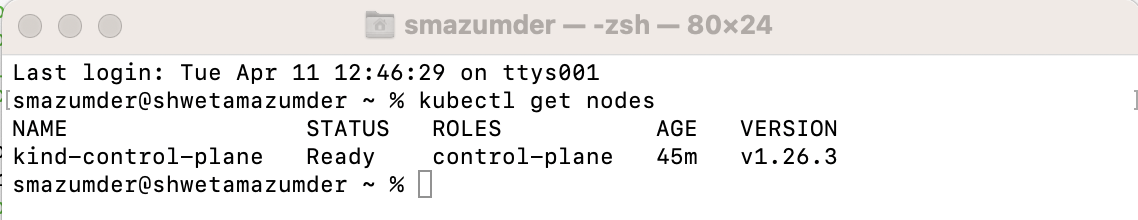Environment Setup Verification